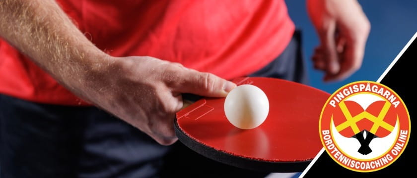 Nickes.Com × Pingispågarna – Resor för dig som älskar bordtennis